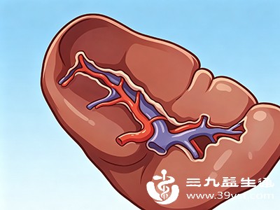 脾是人体最大的外周免疫器官，位于左上腹部