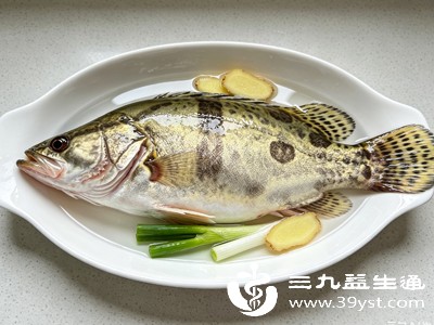 桃花流水鳜鱼肥 它的4大养生价值 比普通鱼肉高出太多