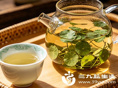 铜钱草性凉,过量饮用易损伤脾胃阳气 铜钱草性凉,过量饮用易损伤脾胃阳气