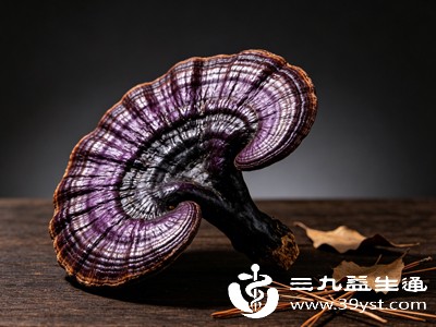 紫灵芝到底有什么用 不止安神养肝 多数人都吃错了