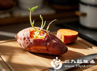 即使是可食用的长芽地瓜,也不建议一次性大量食用 即使是可食用的长芽地瓜,也不建议一次性大量食用
