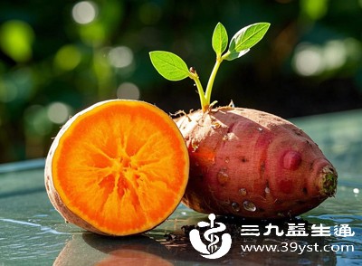 别再扔了 地瓜长芽不是毒这样处理安全吃 附储存技巧