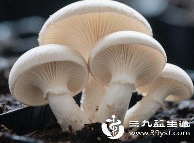 菌菇类食物做法多样，清炖、凉拌、搭配蔬菜炒制都很合适，日常可以经常换着吃，既能丰富饮食，又能养护肝脏