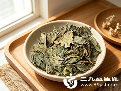 冬桑叶使用避坑指南：体质不对别乱喝 这些注意事项要牢记