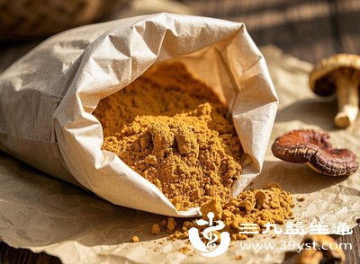 将干燥的灵芝研磨成细粉后，可直接用温水冲服