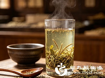 用干燥车前草泡水代茶饮