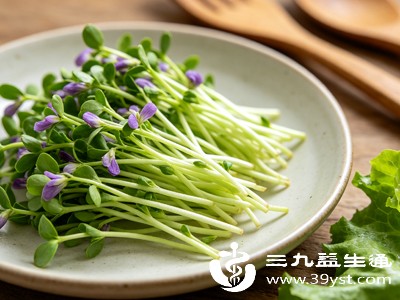 对于血脂偏高的人群来说，紫花苜蓿是不错的食疗食材
