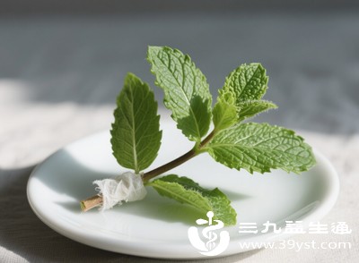 薄荷叶泡水不是减肥“神药” 怎么喝辅助减肥