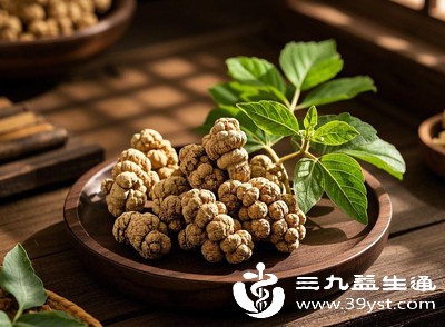 不小心磕到后，用三七根须煮水饮用，或者捣碎后外敷患处，都能帮助减轻淤青和肿痛，加快恢复，是家庭日常备用的实用养生好物