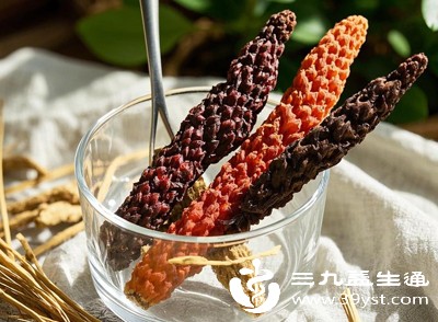 肉苁蓉含有丰富的膳食纤维和多糖成分