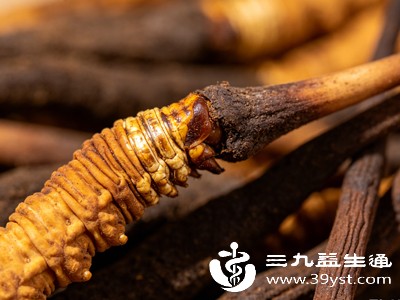 冬虫草中的虫草多糖和虫草素，能帮助调节人体免疫系统，增强免疫细胞的活性，让身体更能抵御外界细菌、病毒的侵袭