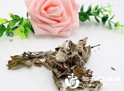 艾叶泡水喝的真相：功效有限 这些禁忌比功效更重要