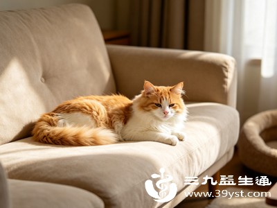 判断是否需要打针，首先要看自家猫咪的健康状况