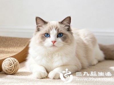 即使是家养猫，也要看它是否有接触外界风险源的可能