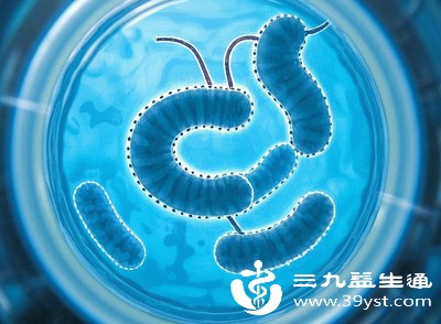 幽门螺杆菌感染引起的慢性胃炎