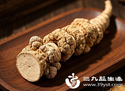 三七有的丰富三七皂苷,可辅助养护血管、调理代谢,日常少量食用,适合熬夜、久坐、饮食油腻的现代人调理身体 三七有的丰富三七皂苷,可辅助养护血管、调理代谢,日常少量食用,适合熬夜、久坐、饮食油腻的现代人调理身体