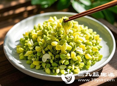 适量食用洋槐花对身体可产生多方面积极影响 适量食用洋槐花对身体可产生多方面积极影响