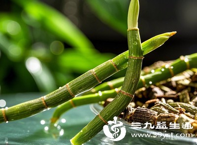 为什么你吃铁皮石斛没效果 原来是吃法错了 这样吃才够劲