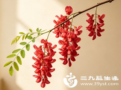 红洋槐花富含维生素、矿物质以及多种活性成分,能为身体补充所需营养 红洋槐花富含维生素、矿物质以及多种活性成分,能为身体补充所需营养