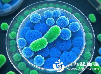 细菌:抢占资源,“扰乱秩序”式致病 细菌:抢占资源,“扰乱秩序”式致病