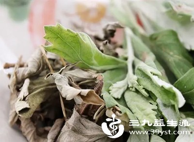 每次艾叶用量建议为10-15克(约一小把) 每次艾叶用量建议为10-15克(约一小把)