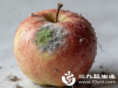发霉的粮食、坚果等,含有有害物质,会直接损害肝细胞,一定要坚决丢弃,切勿食用 发霉的粮食、坚果等,含有有害物质,会直接损害肝细胞,一定要坚决丢弃,切勿食用