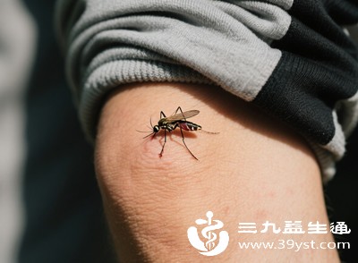 蚊子喜欢什么血型 多年认知都是错的 真正招蚊原因终于揭晓