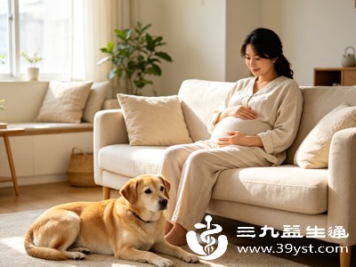 温顺乖巧的狗狗能有效陪伴孕妈,缓解独居孤独感、舒缓烦躁情绪,调节身心状态 温顺乖巧的狗狗能有效陪伴孕妈,缓解独居孤独感、舒缓烦躁情绪,调节身心状态
