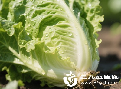晚餐建议多吃绿叶蔬菜,比如菠菜、生菜、油麦菜、西兰花、芹菜等,这类蔬菜热量极低,哪怕多吃一些,也不会超标 晚餐建议多吃绿叶蔬菜,比如菠菜、生菜、油麦菜、西兰花、芹菜等,这类蔬菜热量极低,哪怕多吃一些,也不会超标
