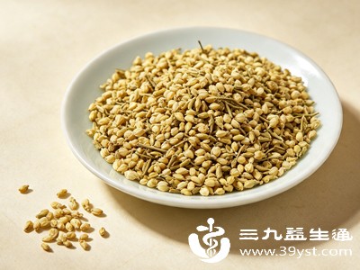 槐米不是普通野菜 藏着不为人知的功效 每天一点健康加分
