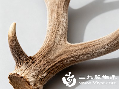 鹿茸 鹿茸