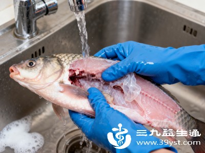 首先刮净鱼腹内黑膜、去除贴骨血,这是腥味主要来源 首先刮净鱼腹内黑膜、去除贴骨血,这是腥味主要来源