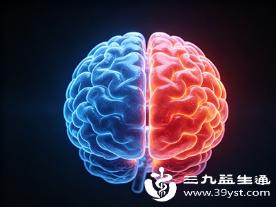 左右脑分工大揭秘 理性与感性它们各管啥