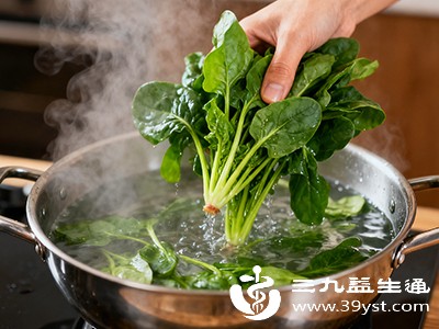 即使是焯水后的菠菜,也需限量食用 即使是焯水后的菠菜,也需限量食用