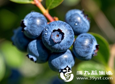 蓝莓:抗氧化,减少神经老化损伤 蓝莓:抗氧化,减少神经老化损伤