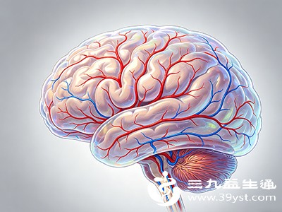 大脑和肌肉活动主要依赖葡萄糖供能