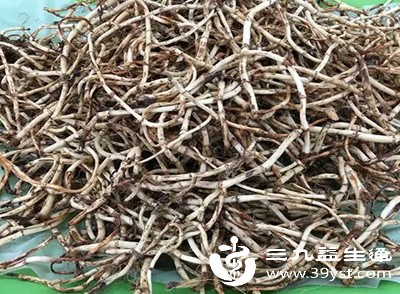 食用鱼腥草可能进一步损伤脾胃阳气，加重虚寒症状
