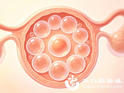 部分女性存在“额外排卵”现象，即一个周期内排出2个或以上卵子，且排卵时间间隔数天，这也会使非预期时间受孕成为可能