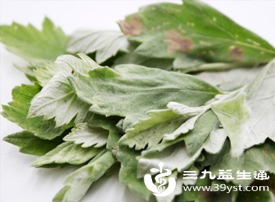 艾叶食用有讲究 从选择到处理一步错可能伤身体