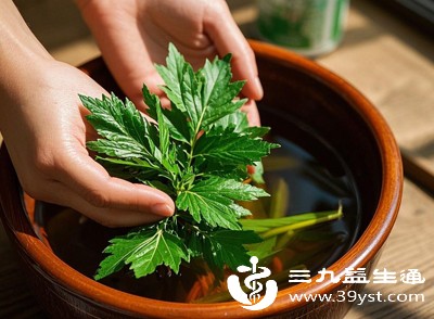 艾叶品种较多，并非所有品种都适合食用。应选择专门的食用艾叶品种，其叶片鲜嫩、气味温和