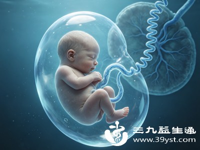 胎儿的大脑发育贯穿整个孕期,尤其是孕中晚期,大脑神经元的增殖、迁移和突触形成处于活跃阶段 胎儿的大脑发育贯穿整个孕期,尤其是孕中晚期,大脑神经元的增殖、迁移和突触形成处于活跃阶段