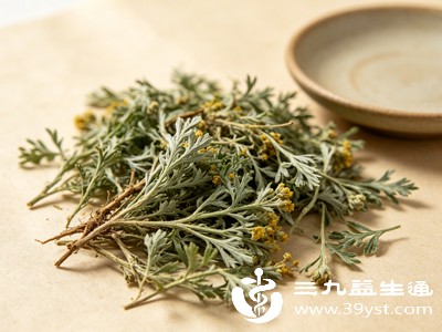 藏茵陈高原上的药用瑰宝 这些功效你了解多少
