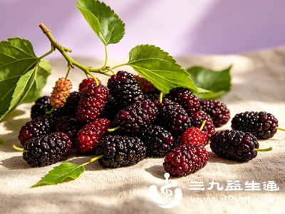 桑葚的禁忌是什么 养生虽好吃错伤身 这几类人尽量少吃