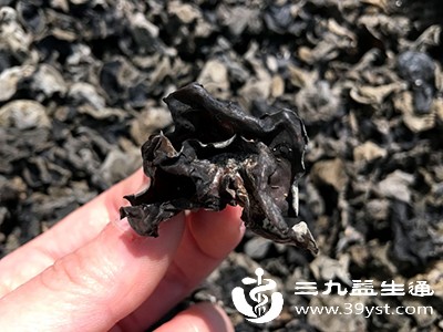 黑木耳因颜色呈黑褐色而得名,其黑色素含量较高,同时富含膳食纤维、木耳多糖、铁元素等 黑木耳因颜色呈黑褐色而得名,其黑色素含量较高,同时富含膳食纤维、木耳多糖、铁元素等