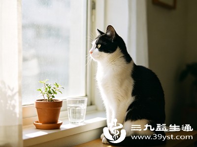 猫的口腔和爪子上携带多种细菌，即使是家养猫咪，也可能通过舔爪子等行为将细菌附着在爪尖