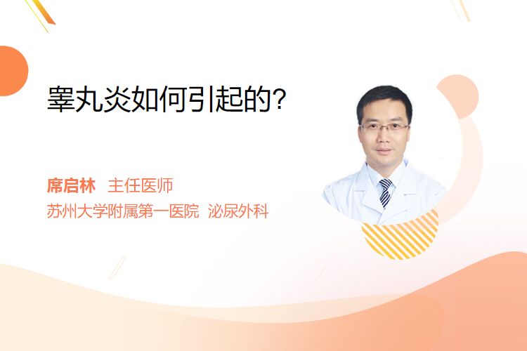 睾丸炎如何引起的