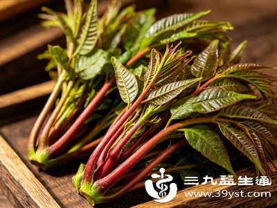 食用香椿应选择春季新鲜采摘的嫩芽,此时香椿口感鲜嫩、营养丰富 食用香椿应选择春季新鲜采摘的嫩芽,此时香椿口感鲜嫩、营养丰富