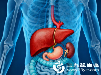 找准肝脏位置对症养生 看懂身体信号 养好人体解毒之本
