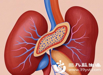 切了脾脏就完了？别慌！搞懂这4个注意事项，日常护理好也能正常生活