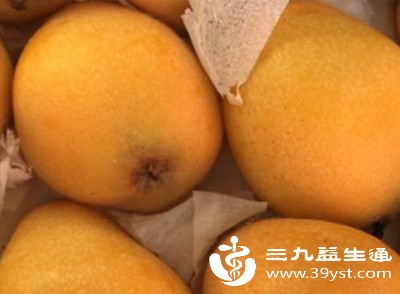不建议食用冰镇或冷藏过久的枇杷果,以免刺激肠胃,引发腹痛、腹泻 不建议食用冰镇或冷藏过久的枇杷果,以免刺激肠胃,引发腹痛、腹泻